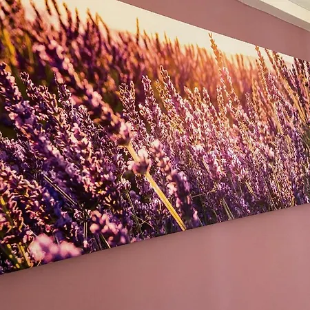 Affittacamere Affittacamere Le Grotte - Soggiorni Le Grotte Camerano